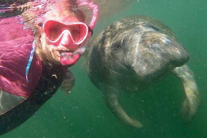 vip-private-boat-manatee-snorkel-tour-with-in-water-guide-and-photograper-2