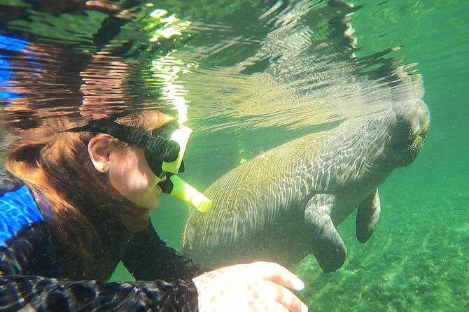vip-private-boat-manatee-snorkel-tour-with-in-water-guide-and-photograper