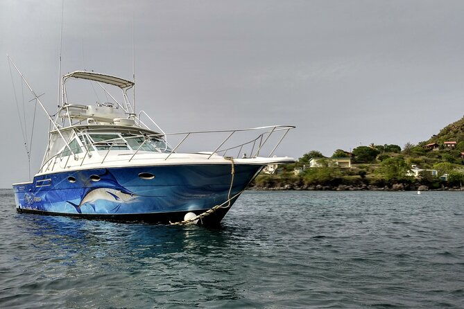 vip-private-guided-scuba-diving-snorkeling-excursion