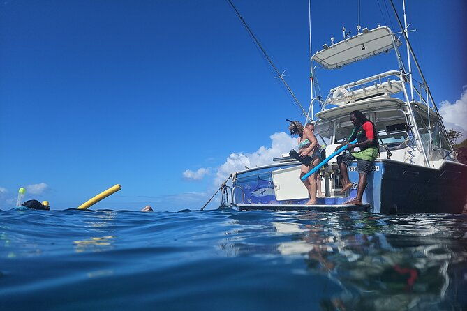 vip-private-guided-scuba-diving-snorkeling-excursion
