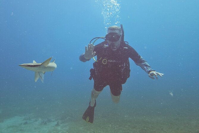 vip-private-guided-scuba-diving-snorkeling-excursion