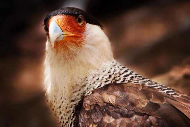 vip-private-island-tour-north-south