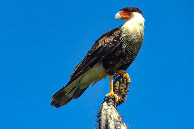 vip-private-island-tour-north-south