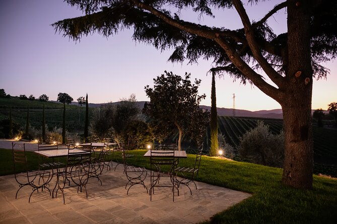 vip-private-montalcino-wine-tasting-in-paradiso-with-dinner