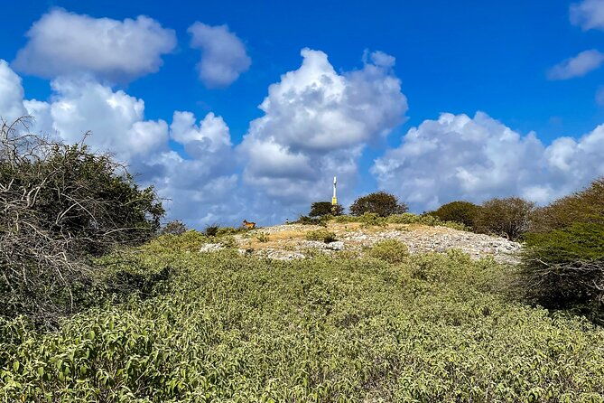 vip-private-north-island-tour