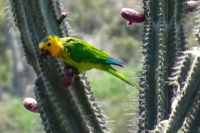 vip-private-north-island-tour