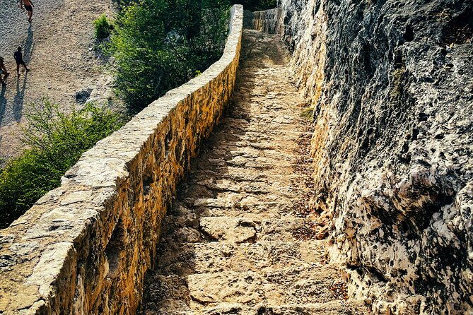 vip-private-north-island-tour