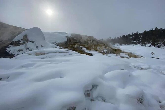 vip-private-north-yellowstone-national-park-winter-excursion-2