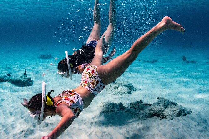 vip-private-snorkeling-tour-with-underwater-photos