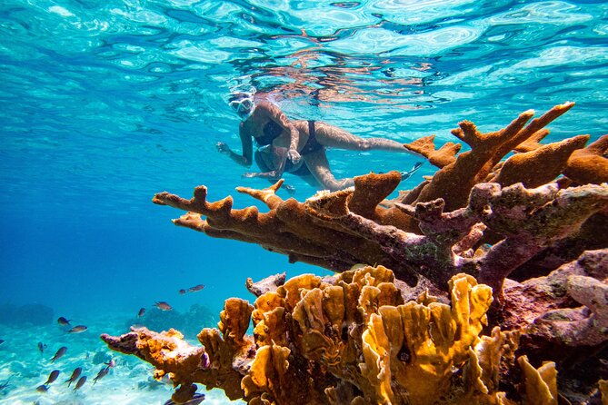 vip-private-snorkeling-tour-with-underwater-photos