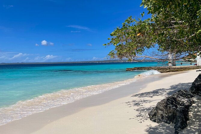 vip-private-south-island-tour