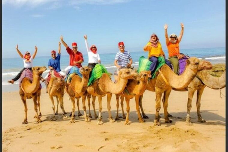 vip-private-tangier-tour-from-marbella-with-ali-all-included