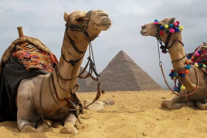 VIP Pyramids tour, Camel Ride, Museum, and Khan +local meal - Who Is This Tour Best Suited For?  