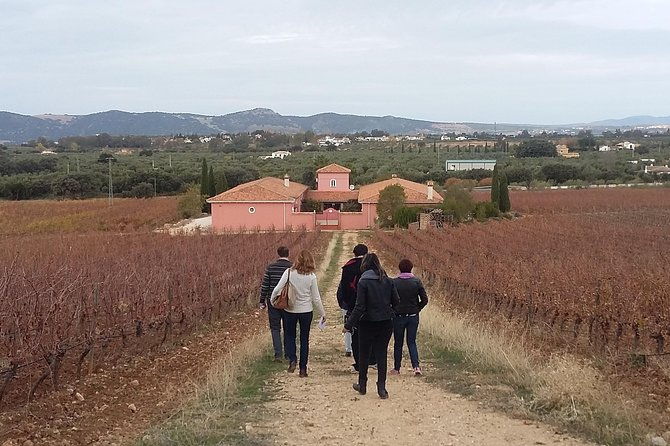 vip-ronda-wine-tour-and-tasting-and-gourmet-lunch-experience-with-winemaker