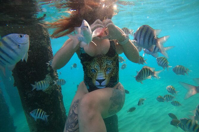 vip-san-juan-snorkeling-tour-with-turtles-with-free-videos