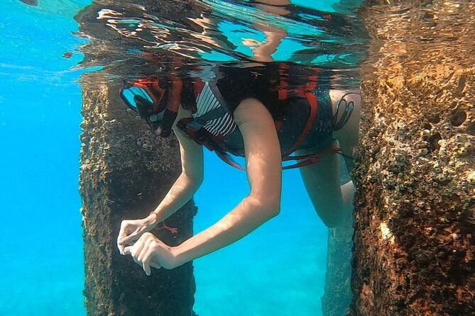 vip-san-juan-snorkeling-tour-with-turtles-with-free-videos