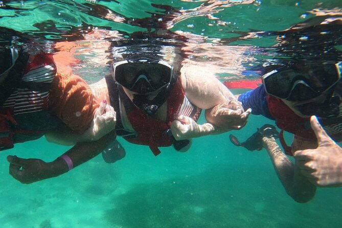 vip-san-juan-snorkeling-tour-with-turtles-with-free-videos
