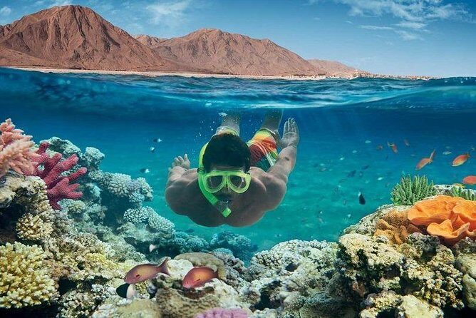 VIP Sea Trip With Water Sport & Lunch, Transfer - Hurghada - An In-Depth Look at the Experience