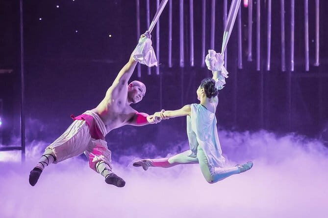 VIP Seated Kungfu Show With Dinner Option and Transportation - A Closer Look at the Experience