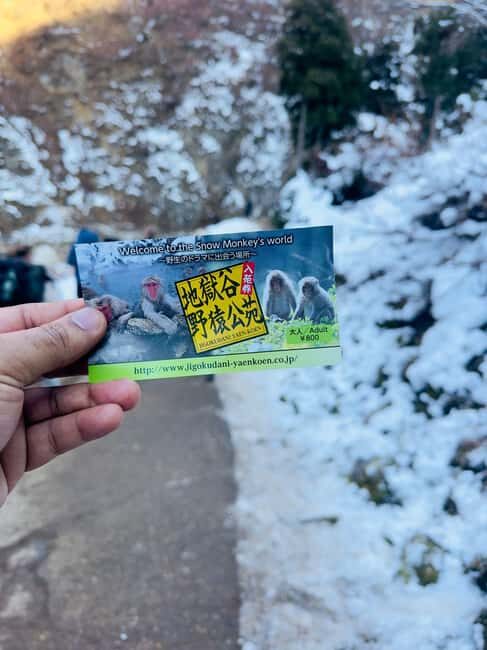 VIP Snow Monkey Park & Zenkoji Temple One Day Private Tour - Why This Tour Offers Great Value