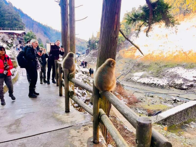 VIP Snow Monkey Park & Zenkoji Temple One Day Private Tour - Who Would Love This Tour?