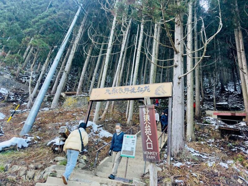 VIP Snow Monkey Park & Zenkoji Temple One Day Private Tour - FAQ