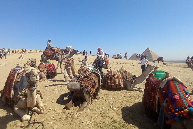 Vip Top Private Tour to Giza Pyramids and Sphinx with camel ride - Key Points