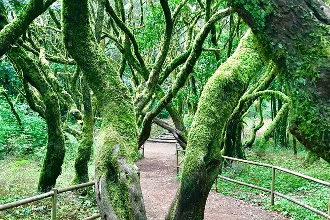 VIP tour of La Gomera from Tenerife - The Detailed Itinerary and Why It Matters