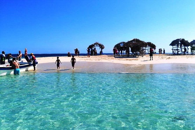 vip-tour-to-paradise-island-the-mangroves