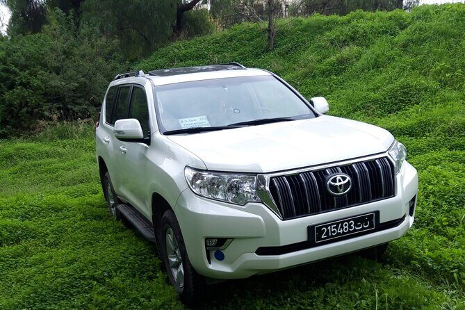 VIP transfer between Tunis Carthage Airport and a hotel in Tunis - Overview of the VIP Transfer Experience