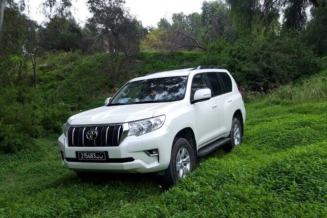 VIP transfer between Tunis Carthage Airport and a hotel in Tunis - Who Will Love This Service?