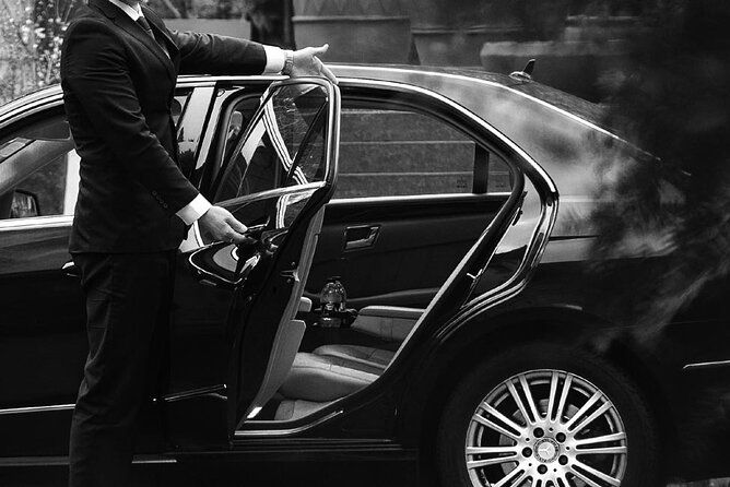 vip-van-driver-transfer-to-disneyland-paris