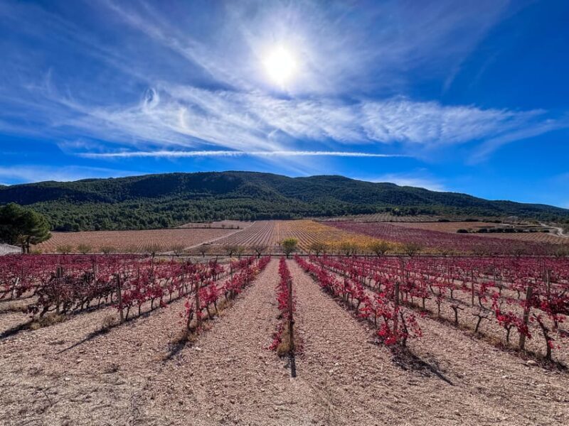VIP Wine Experience | Costa Blancas Hidden Estates - The Itinerary: What to Expect