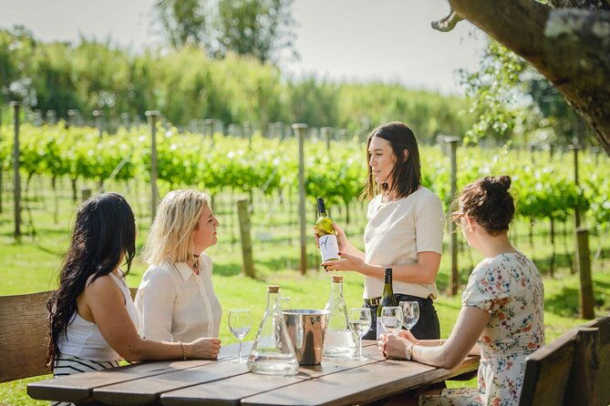 vip-wine-experience-montalcino-montepulciano-with-lunch