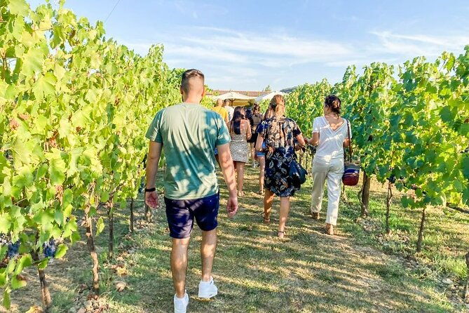 vip-wine-experience-montalcino-montepulciano-with-lunch