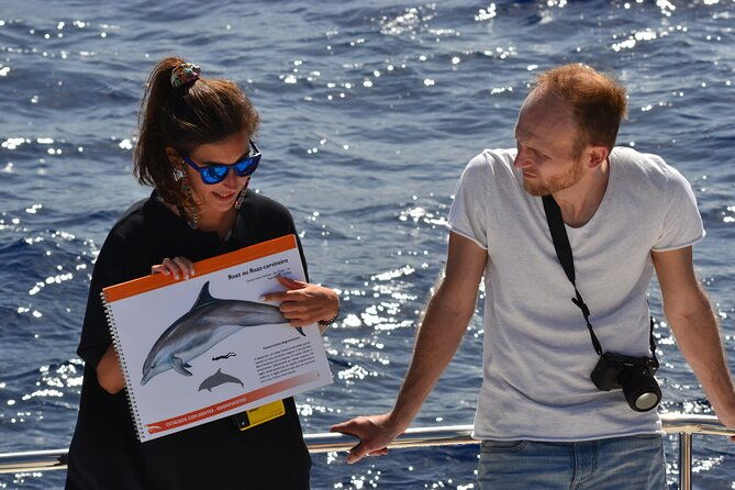 vipdolphins-luxury-whale-watching