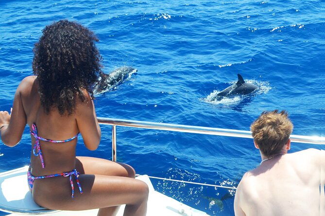 vipdolphins-luxury-whale-watching