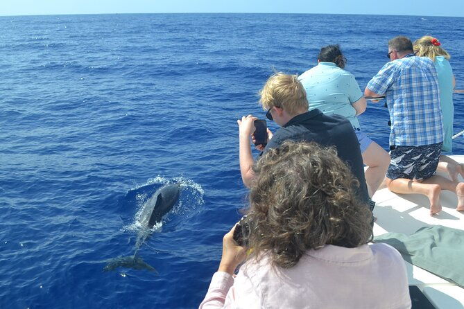 vipdolphins-luxury-whale-watching