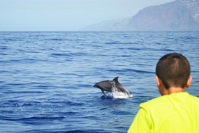 vipdolphins-luxury-whale-watching