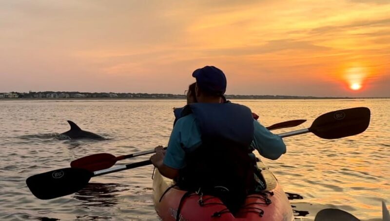 Virginia Beach: Dolphin Kayak Tour: This is a Workout! - Practical Tips for Your Kayaking Adventure