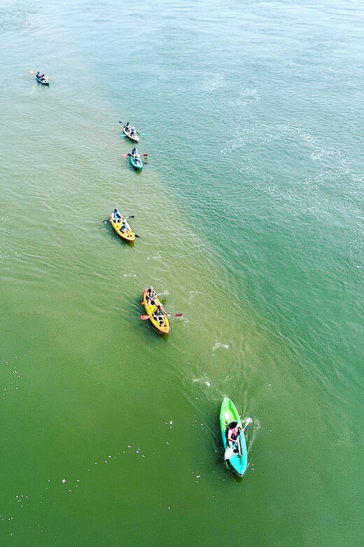 Virginia Beach: Dolphin Kayak Tour: This is a Workout! - Final Thoughts: Who Will Love This Tour?
