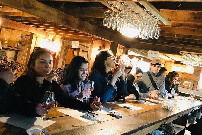 virginia-wineries-guided-tour-tastings-from-washington-dc-2