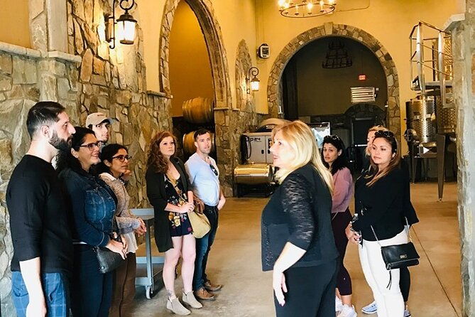 virginia-wineries-guided-tour-tastings-from-washington-dc