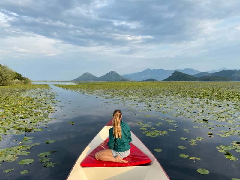 Virpazar: Amazon wilderness speed boat cruise - Exploring the Amazon-Like Wilderness on Skadar Lake