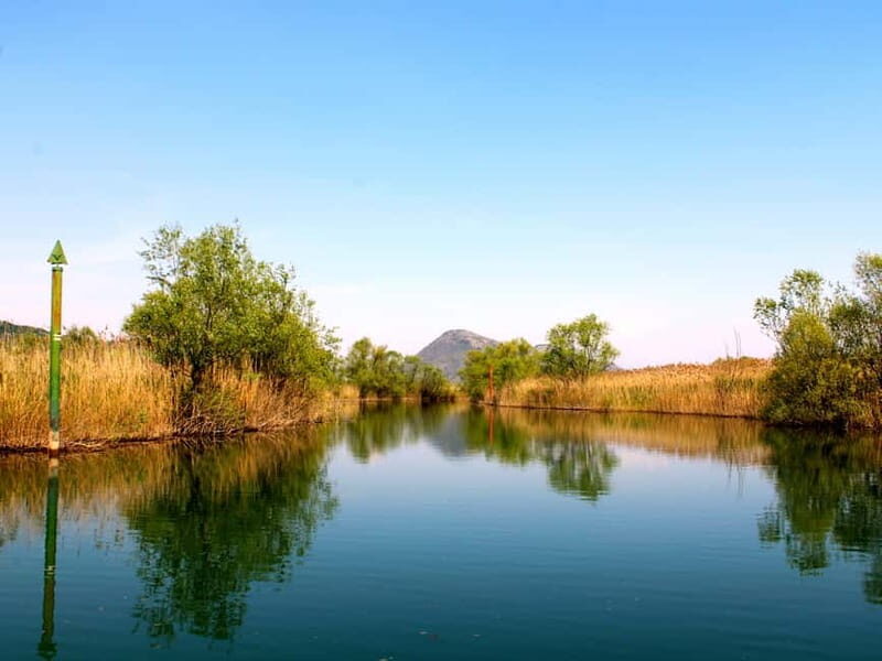 Virpazar: Guided Lake Skadar Cruise and Crnojevia River - Key Points