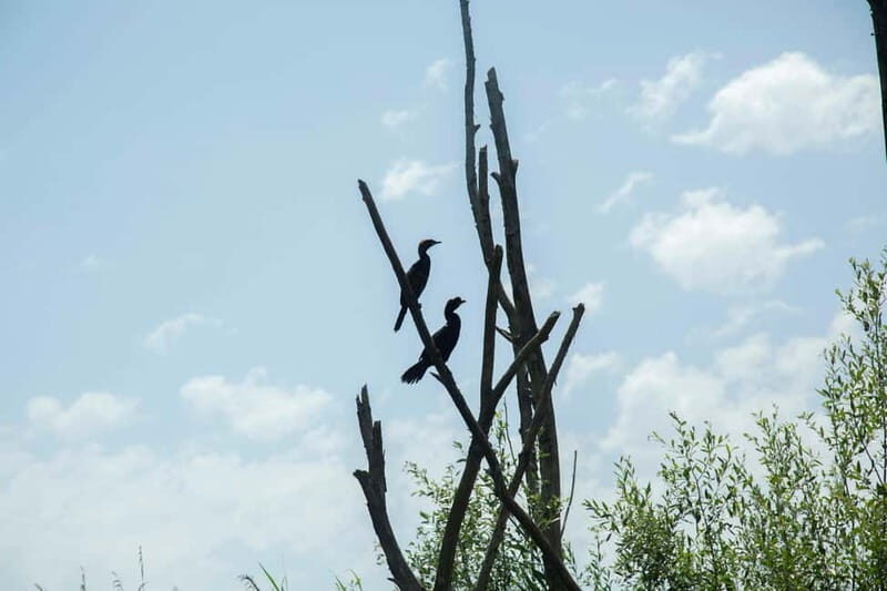 Virpazar: Historical & Nature Boat Adventure on Lake Skadar - Final Words