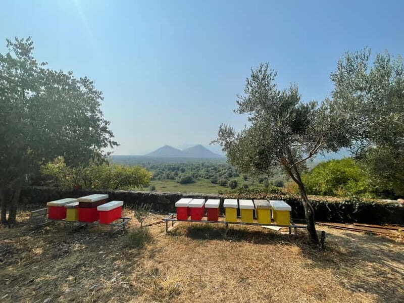Virpazar: Skadar Lake by Boat and Kom Monastery Guided Tour - FAQ