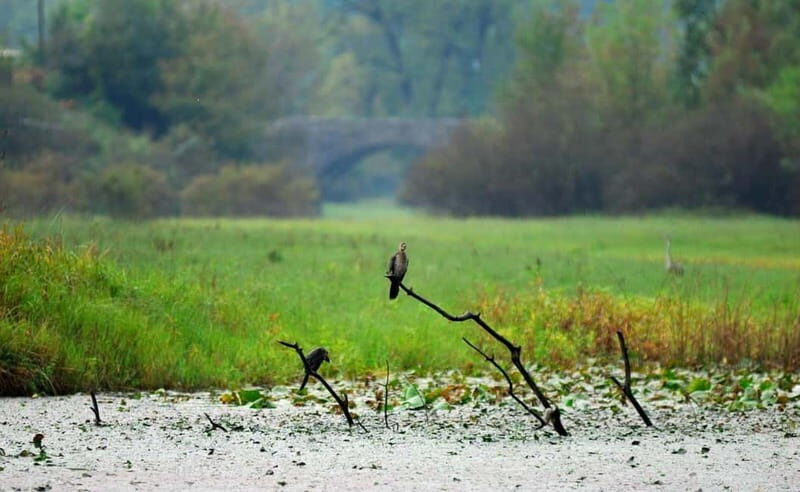 Virpazar: Skadar Lake National Park Guided Boat Tour - Frequently Asked Questions
