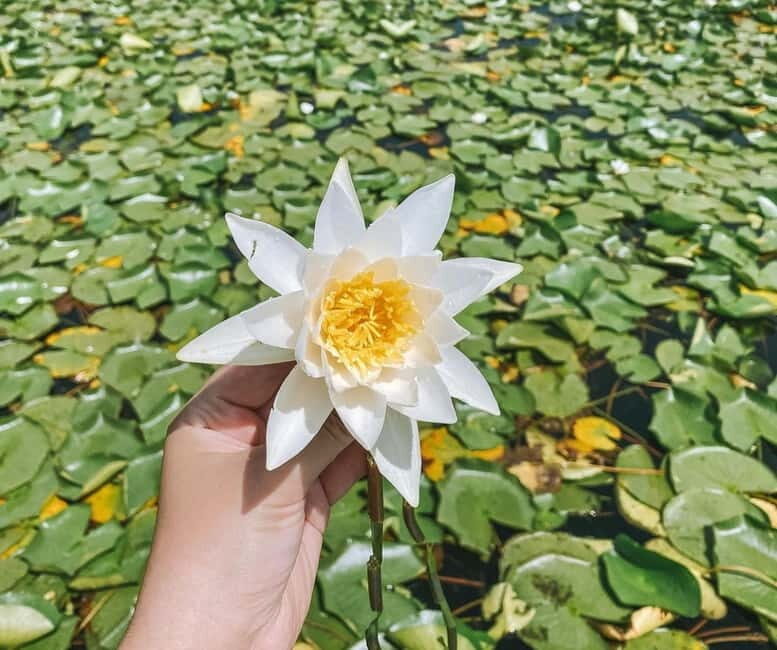 Virpazar: Skadar Lake Nature Kayak Tour - Key Points