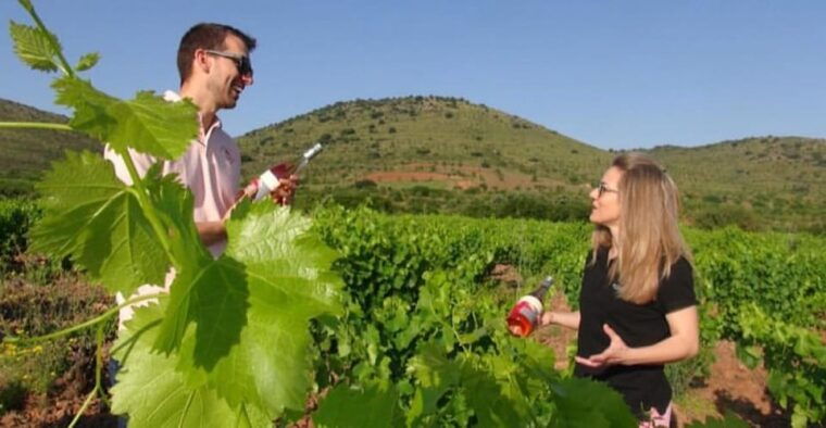 visit-2-wine-cellars-a-wine-museum-and-a-traditional-meal